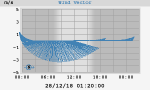 Wind Vector